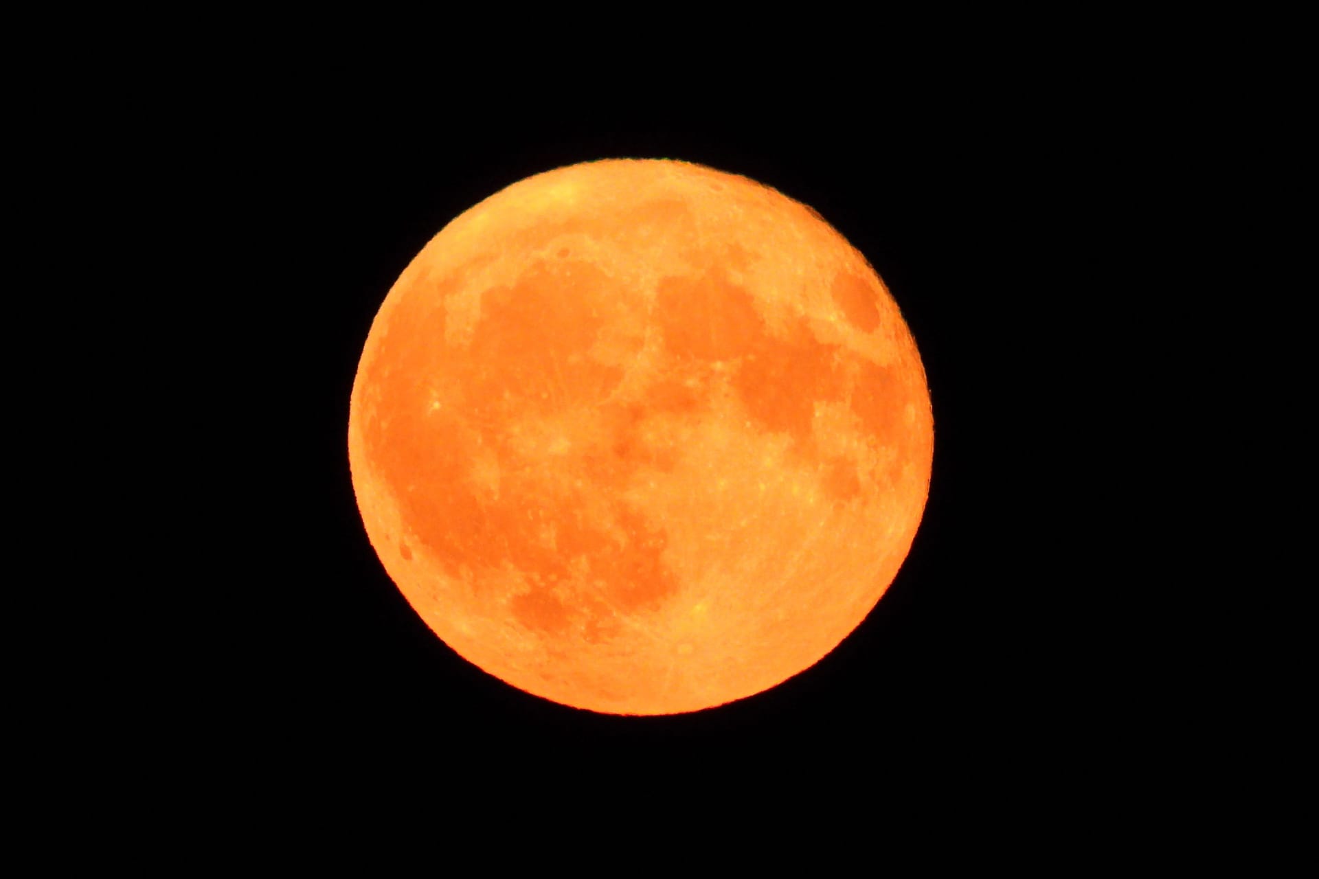 Der Erdbeermond über Hamburg: In der Nacht von Mittwoch auf Donnerstag konnte man ein besonderes Himmelsspektakel beobachten.