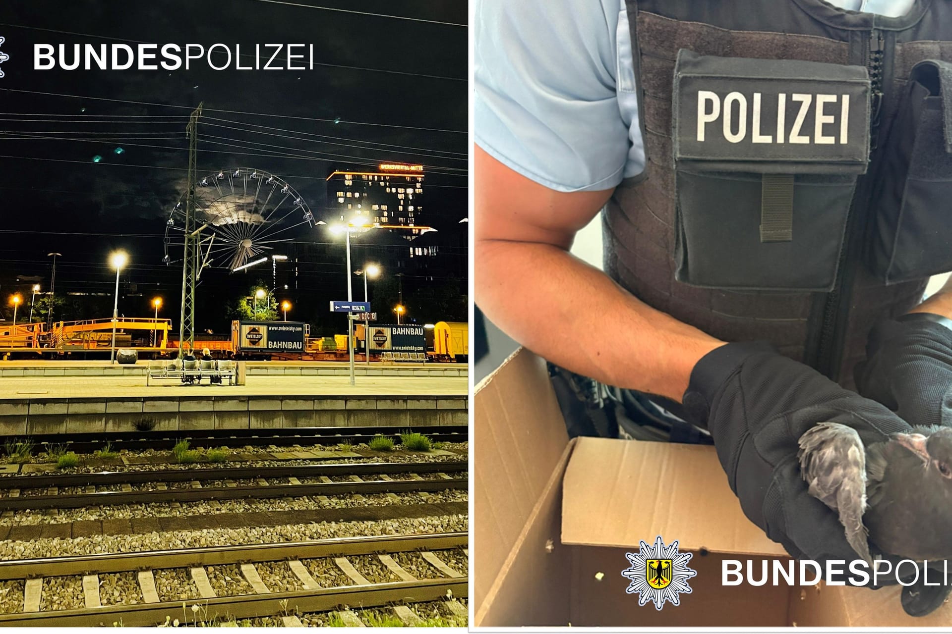 Einsatz der Bundespolizei am Ostbahnhof: Eine Taube hat sich am Flügel verletzt.