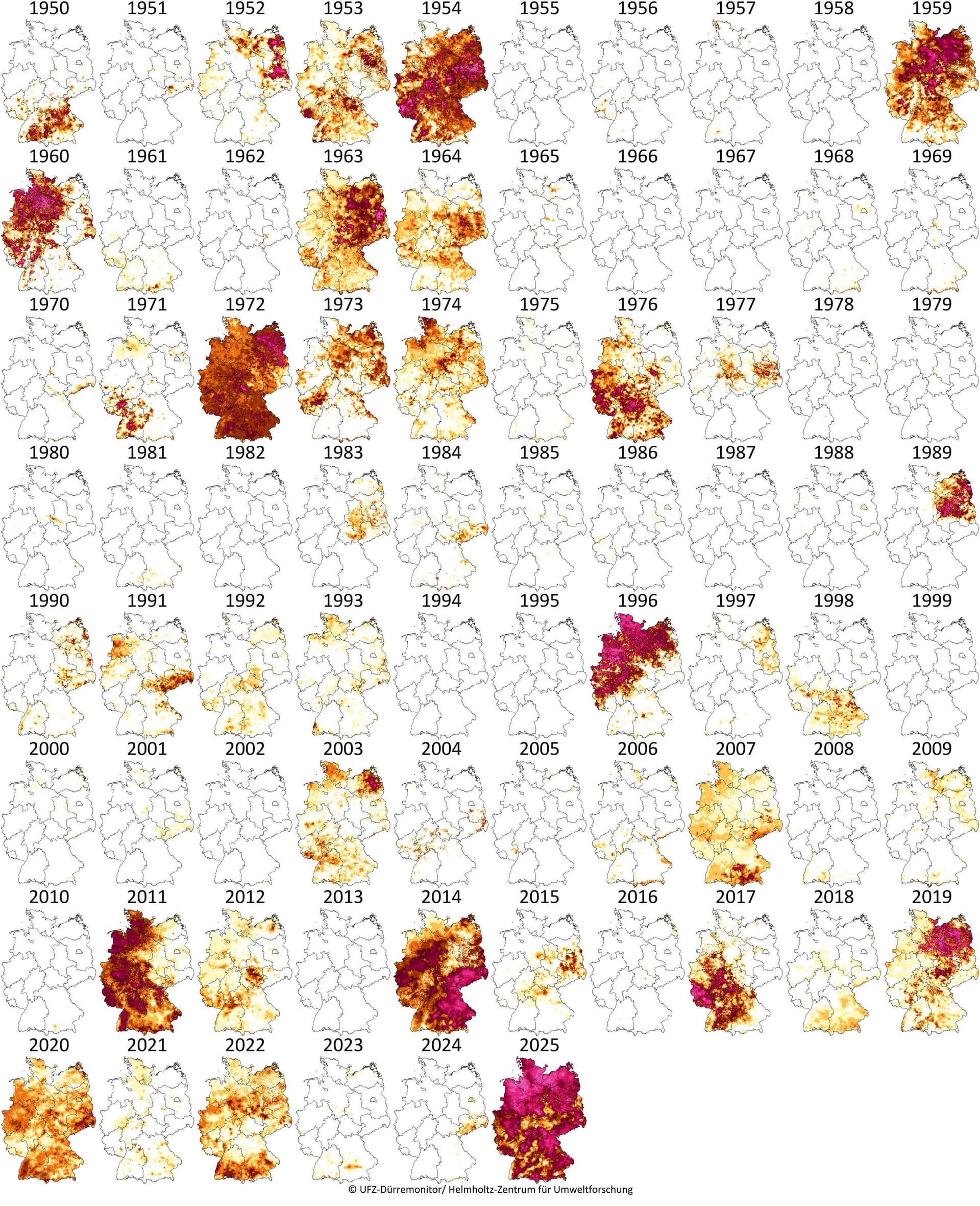 Fast ganz Deutschland leuchtet in Lila und Rot: Der UFZ-Dürremonitor zeigt deutlich den außergewöhnlichen Frühling 2025, in der Abbildung sind die Dürreintensitäten in Deutschland von 1950 bis 2025 dargestellt.
