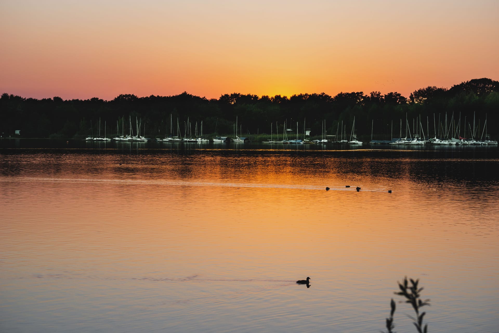 Der Tankumsee im Landkreis Gifhorn: Hier verbrachte die Familie von Saskia viele Sommer.