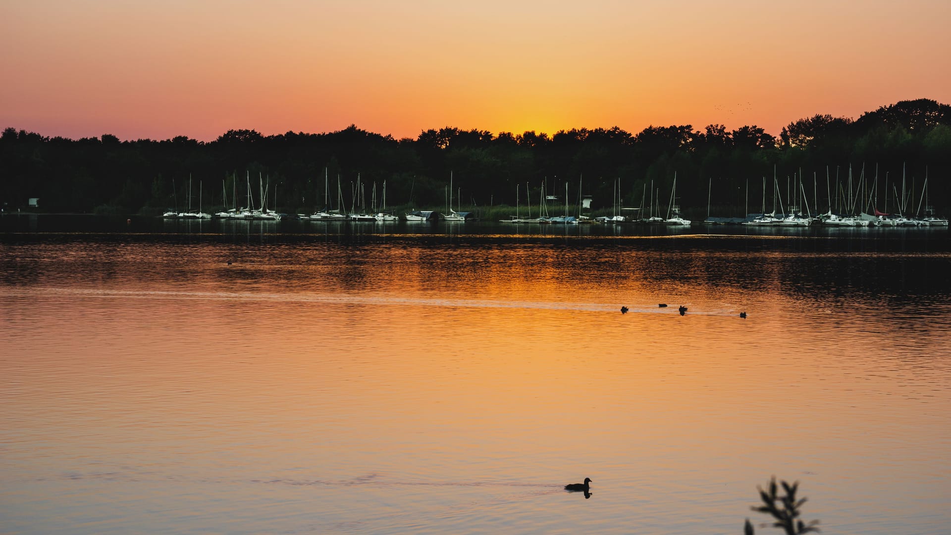 Der Tankumsee im Landkreis Gifhorn: Hier verbrachte die Familie von Saskia viele Sommer. Der Tankumsee im Landkreis Gifhorn: Hier verbrachte die Familie von Saskia viele Sommer.