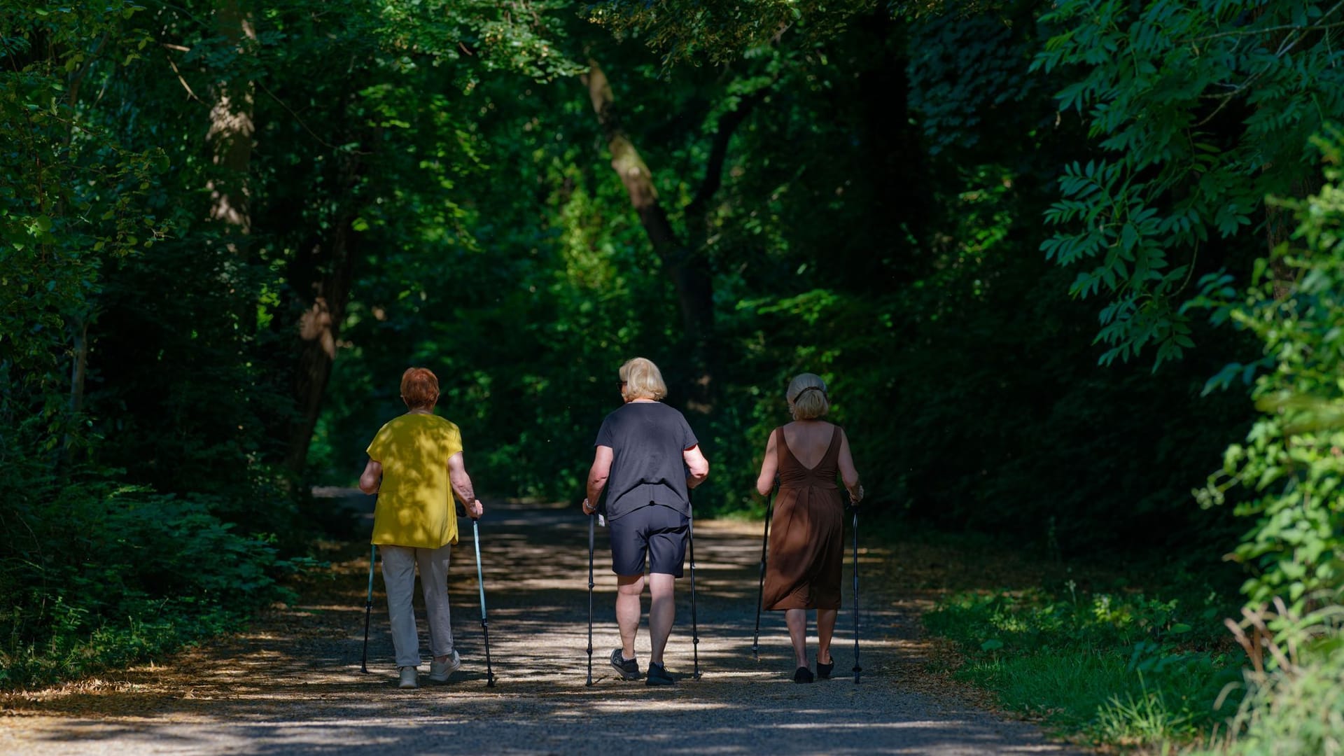 Sommer in Baden-Württemberg