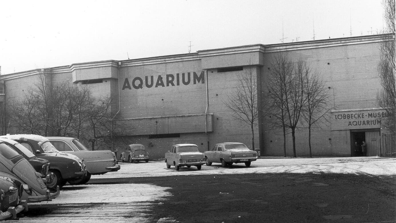 Viele Düsseldorferinnen und Düsseldorfer erinnern sich noch gut an das "Löbbecke Museum und Aquarium" im Hochbunker an der Speldorfer Straße.