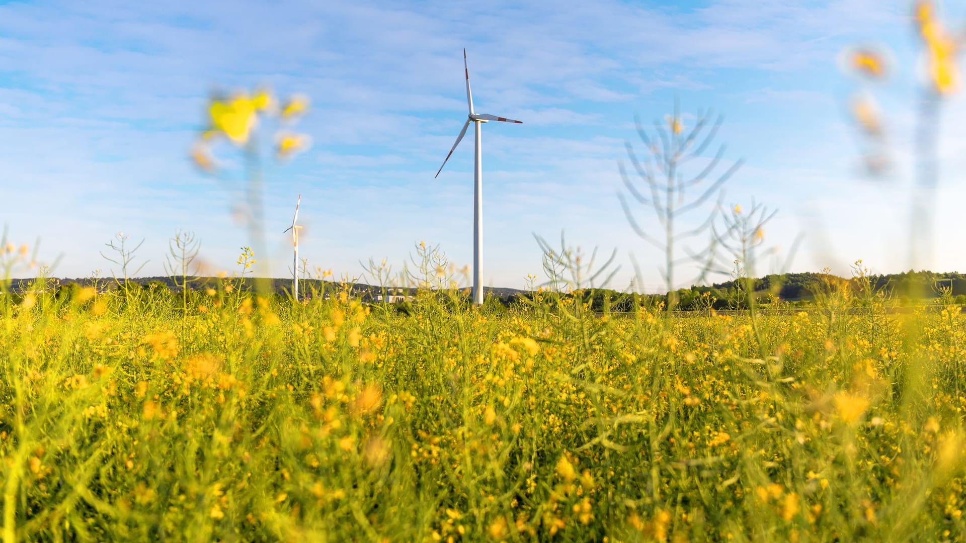 Ihr Geld kann den Unterschied machen: Durch Investitionen in erneuerbare Energien wie Windkraft entstehen konkrete Lösungen für eine nachhaltige Zukunft.