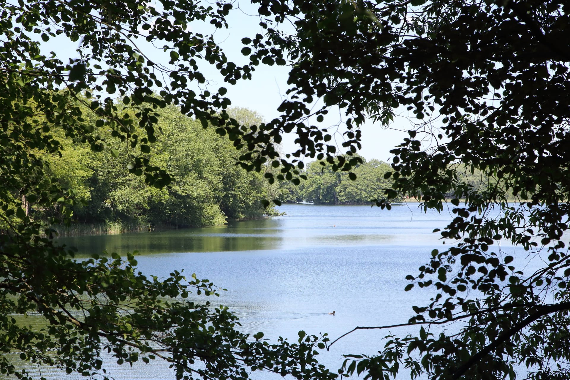 Polizeieinsatz (Symbolbild): zwei Schwimmer im Alter von jeweils 24 Jahren waren am Samstagabend in Kladow in Not geraten.