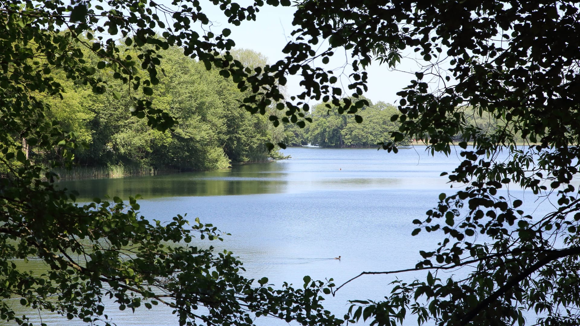 Polizeieinsatz (Symbolbild): zwei Schwimmer im Alter von jeweils 24 Jahren waren am Samstagabend in Kladow in Not geraten. Polizeieinsatz (Symbolbild): zwei Schwimmer im Alter von jeweils 24 Jahren waren am Samstagabend in Kladow in Not geraten.