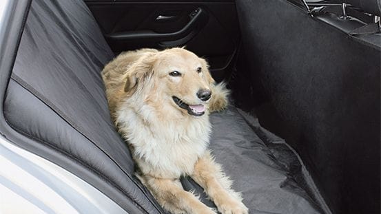 https://www.tchibo.de/products/147466775488/hunde-autositz-schutzdecke?article_id=115785519668