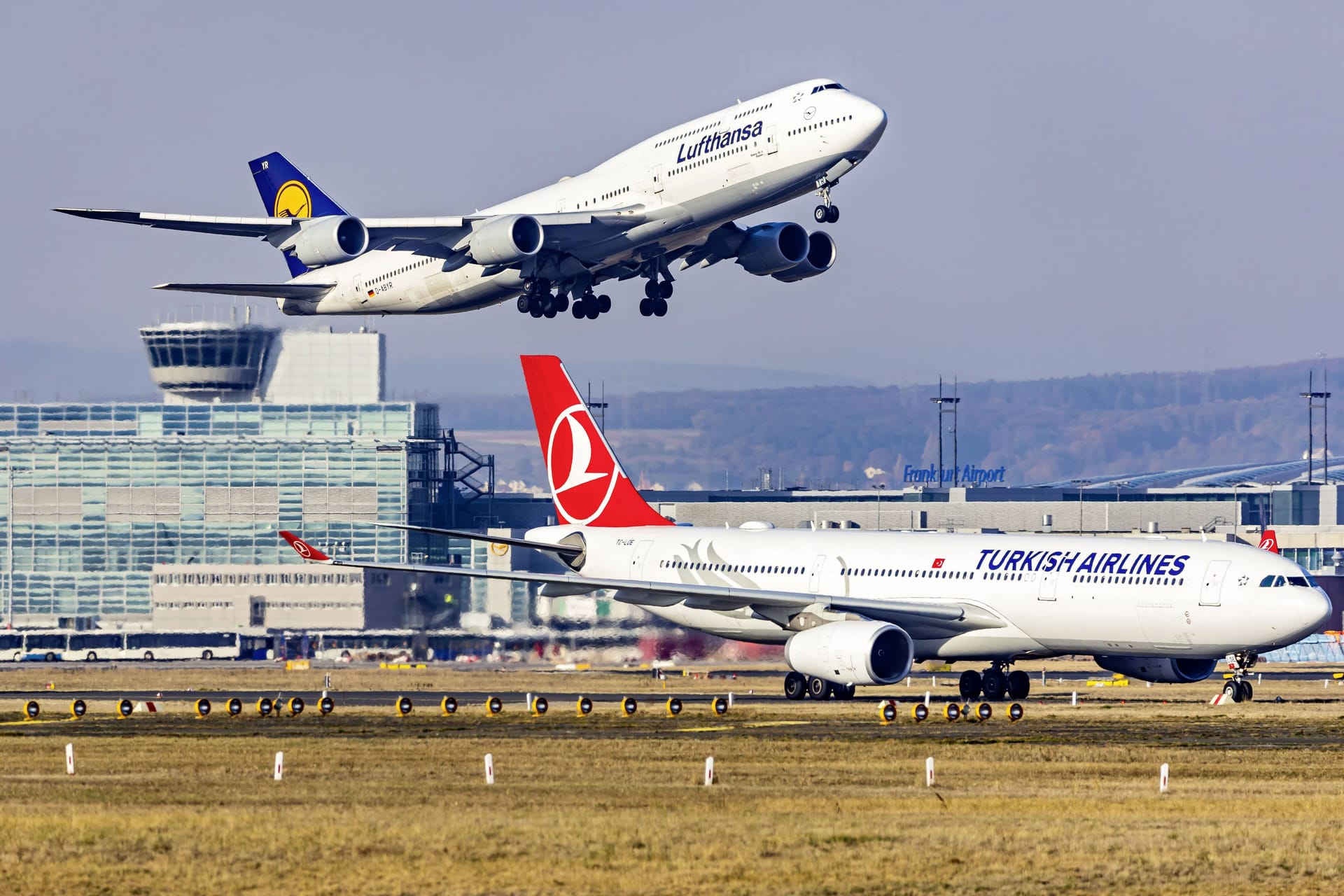 Flugzeuge von Lufthansa und Turkish Airlines (Symbolbild): Die Hansestadt erhält eine zusätzliche Verbindung zu einem globalen Drehkreuz.