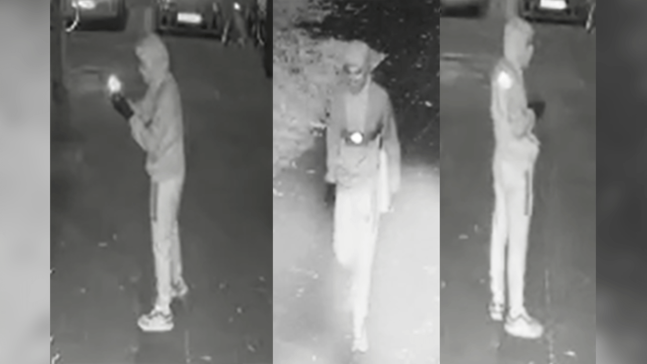 Der Gesuchte: Die Polizei sucht mit diesen Fotos nach dem Verdächtigen.