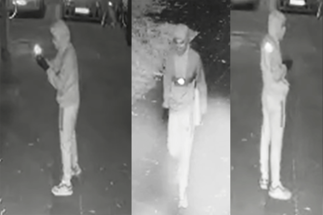 Der Gesuchte: Die Polizei sucht mit diesen Fotos nach dem Verdächtigen.