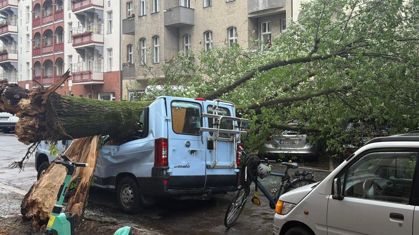 Umgestürzter Baum im Wedding: Der Transporter wurde zerstört, verletzt wurde offenbar niemand.