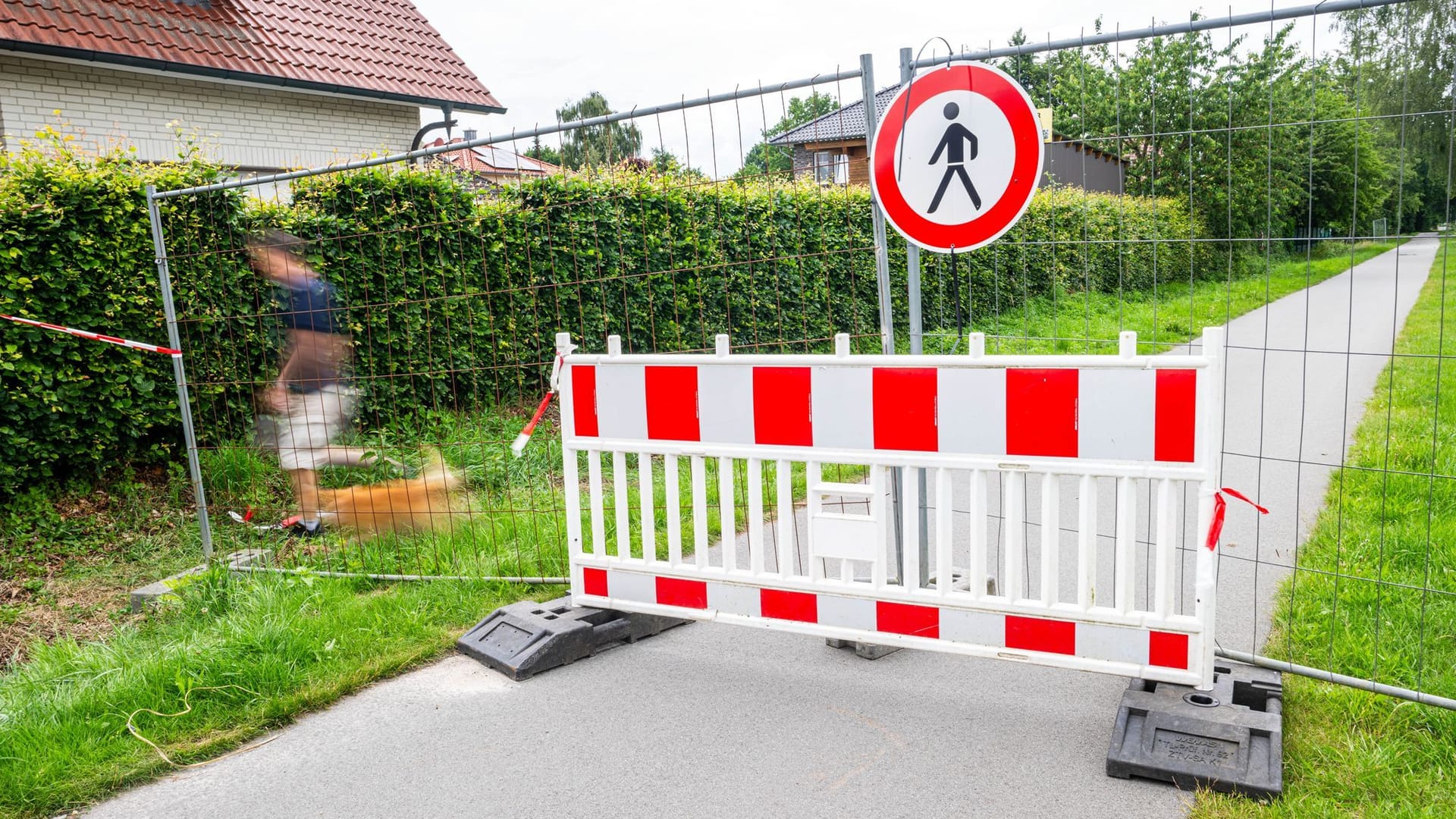 Entwarnung: Reptil-Video unmöglich von Gelände in Vechta