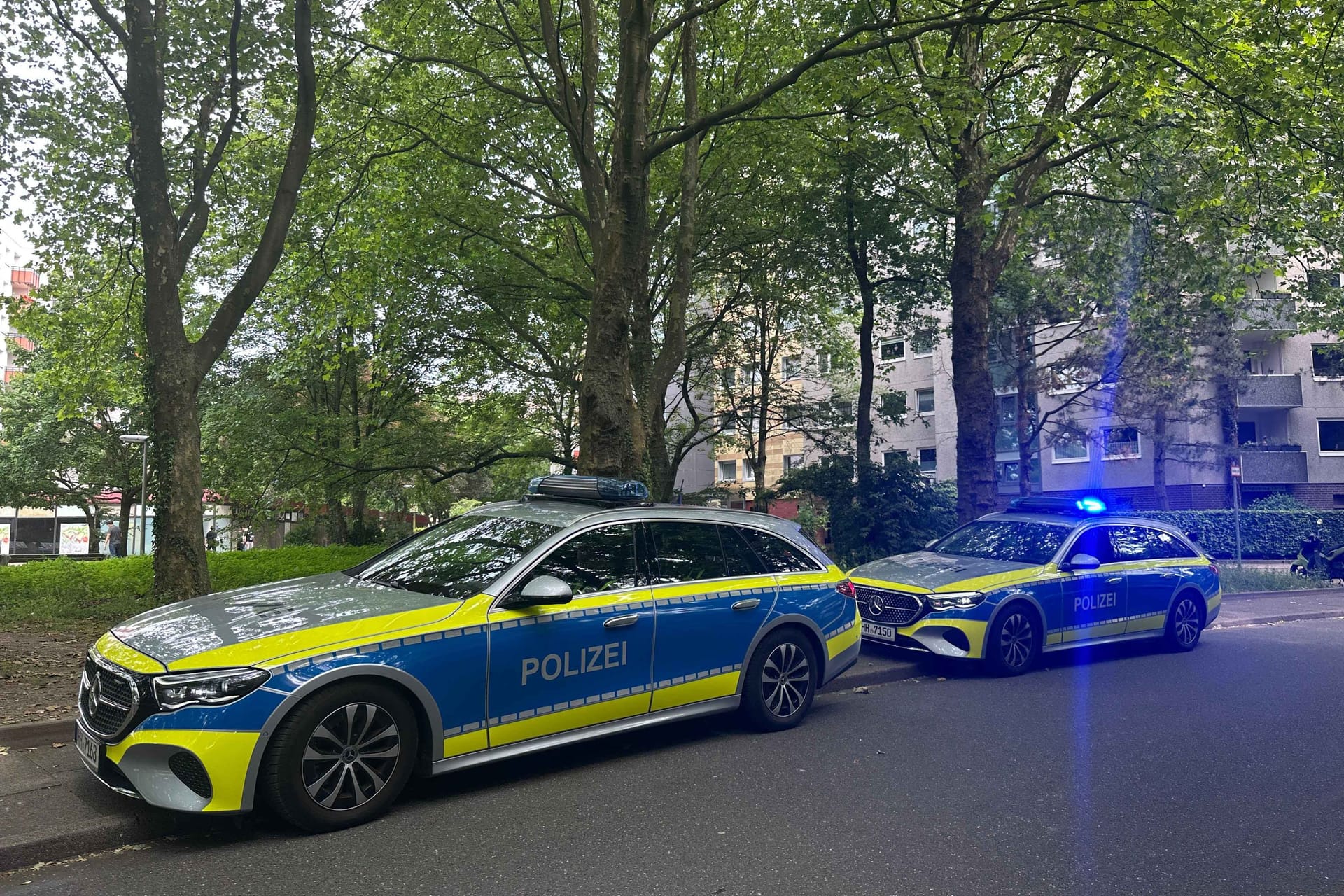 Zwei Streifenwagen der Polizei am Gropiusring in Hamburg-Wandsbek: Mitglieder von zwei Familien schlugen in Steilshoop aufeinander ein.