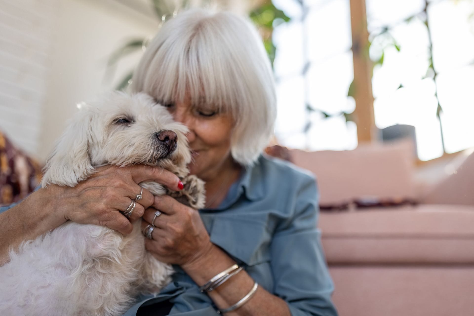 Seniorin mit ihrem Malteserhund Seniorin mit ihrem Malteserhund