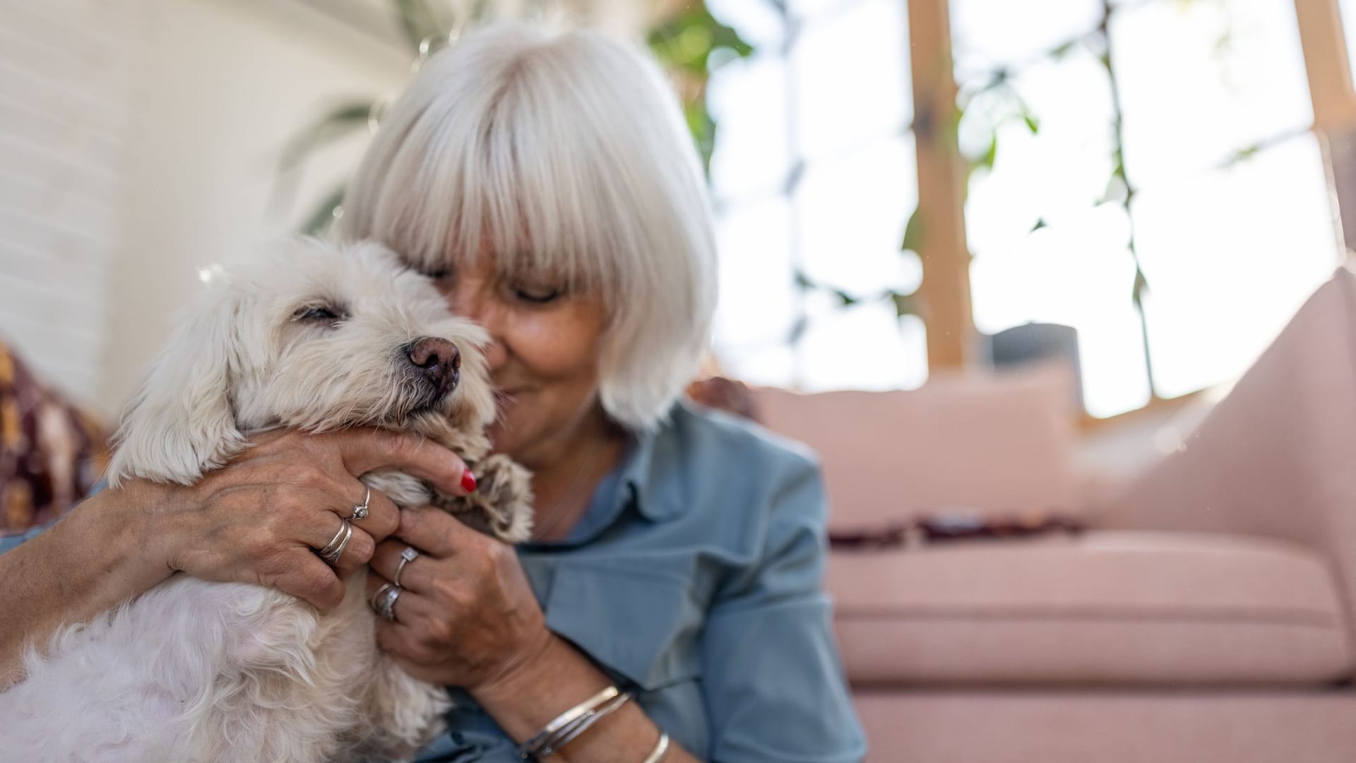 Seniorin mit ihrem Malteserhund