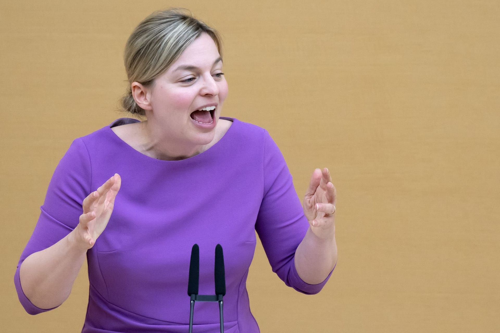 Plenarsitzung im Landtag