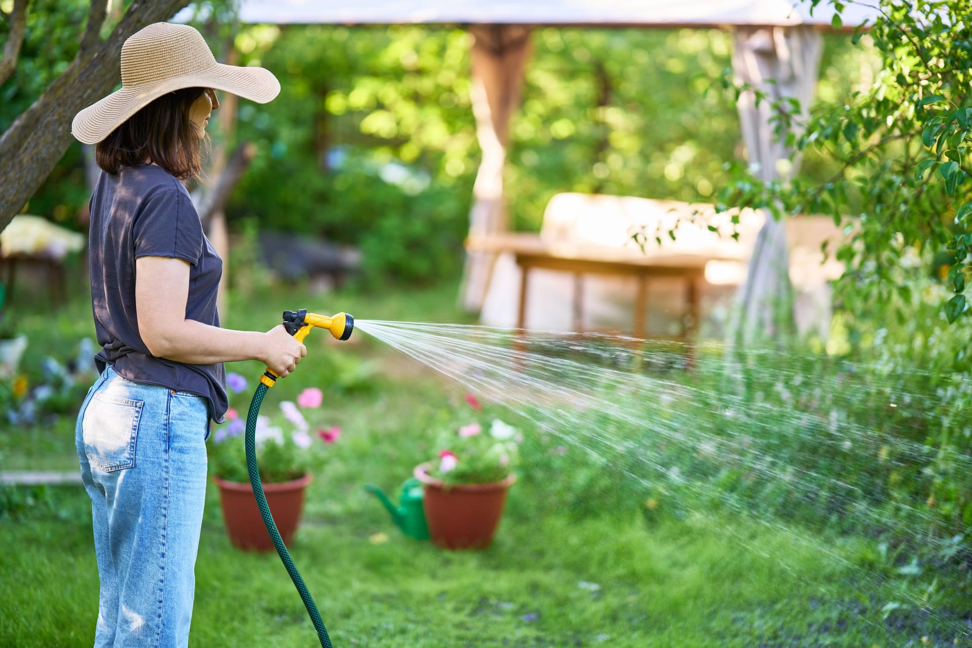 Frau bewässert Garten mit Schlauch: Wasserknappheit zwingt Kommunen in Sachsen-Anhalt zu Bewässerungsverboten.
