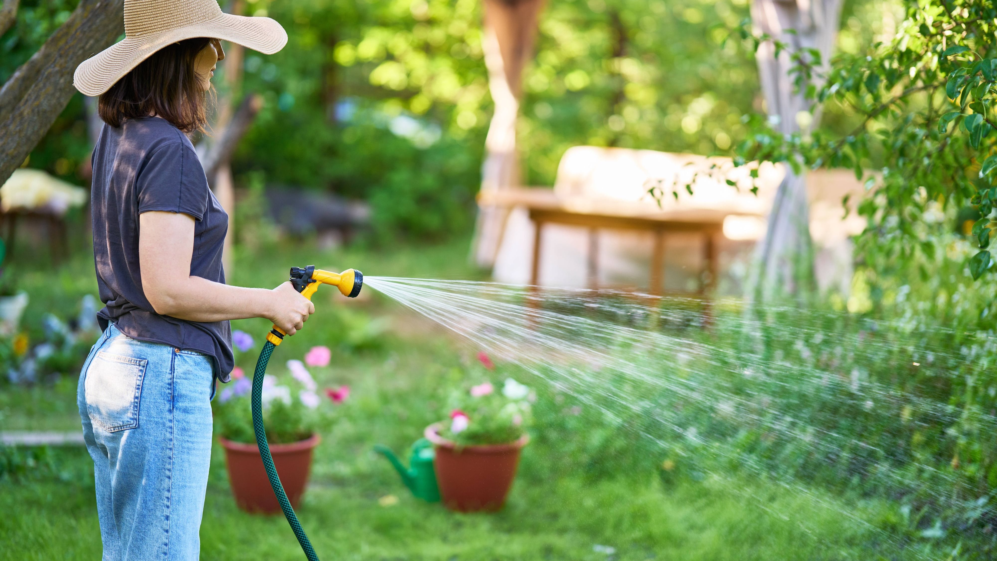 Frau bewässert Garten mit Schlauch: Wasserknappheit zwingt Kommunen in Sachsen-Anhalt zu Bewässerungsverboten.