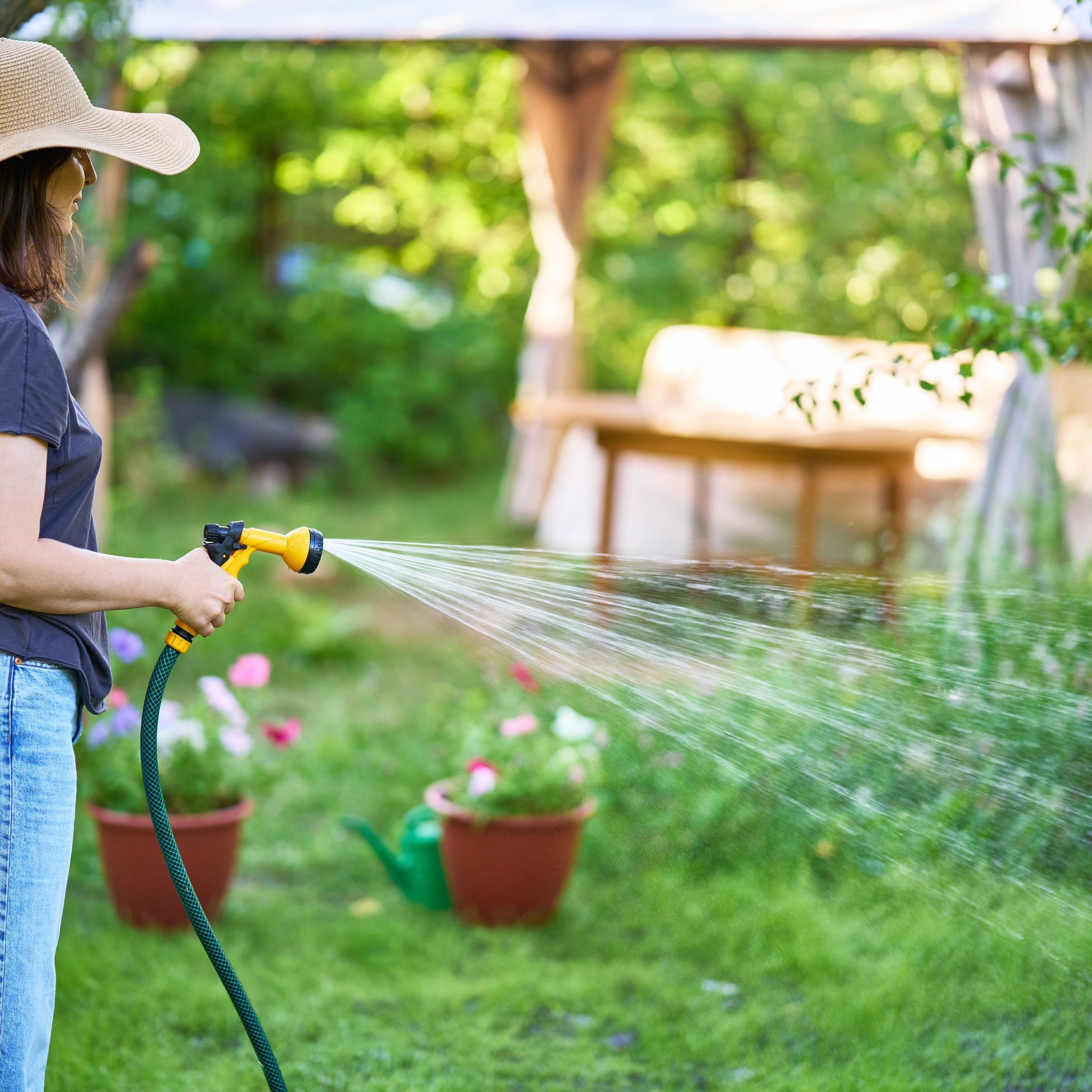 Frau bewässert Garten mit Schlauch: Wasserknappheit zwingt Kommunen in Sachsen-Anhalt zu Bewässerungsverboten.
