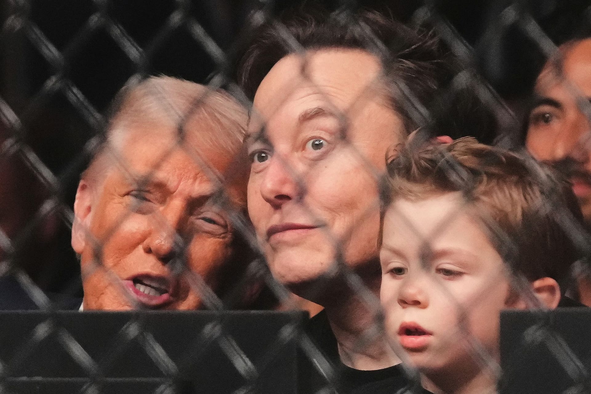 Trump und Musk mit Sohn beim Ultimate Fighting