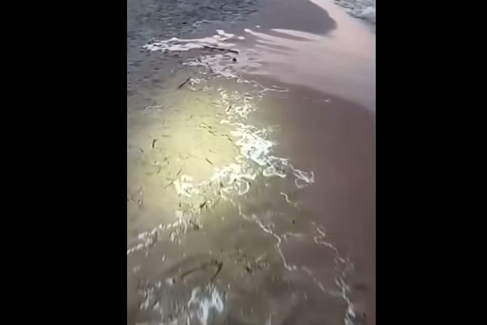 Strand mit angespülten Kügelchen: Rätselhafte Substanz führte zu Badeverbot in Spanien.