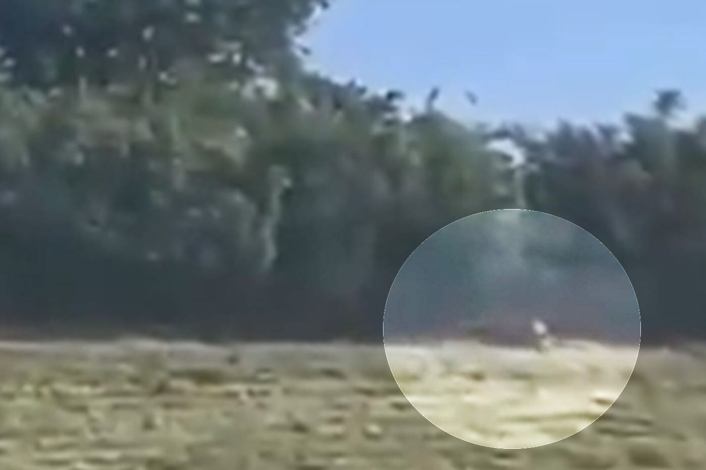 Videoaufnahmen sollen das Raubtier zeigen: Die Behörden sind in Alarmbereitschaft.