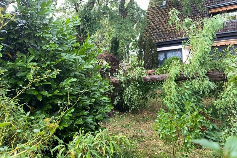 Vor einem Haus im Berliner Stadtteil Heiligensee liegen durch schwere Böen entwurzelte Bäume.