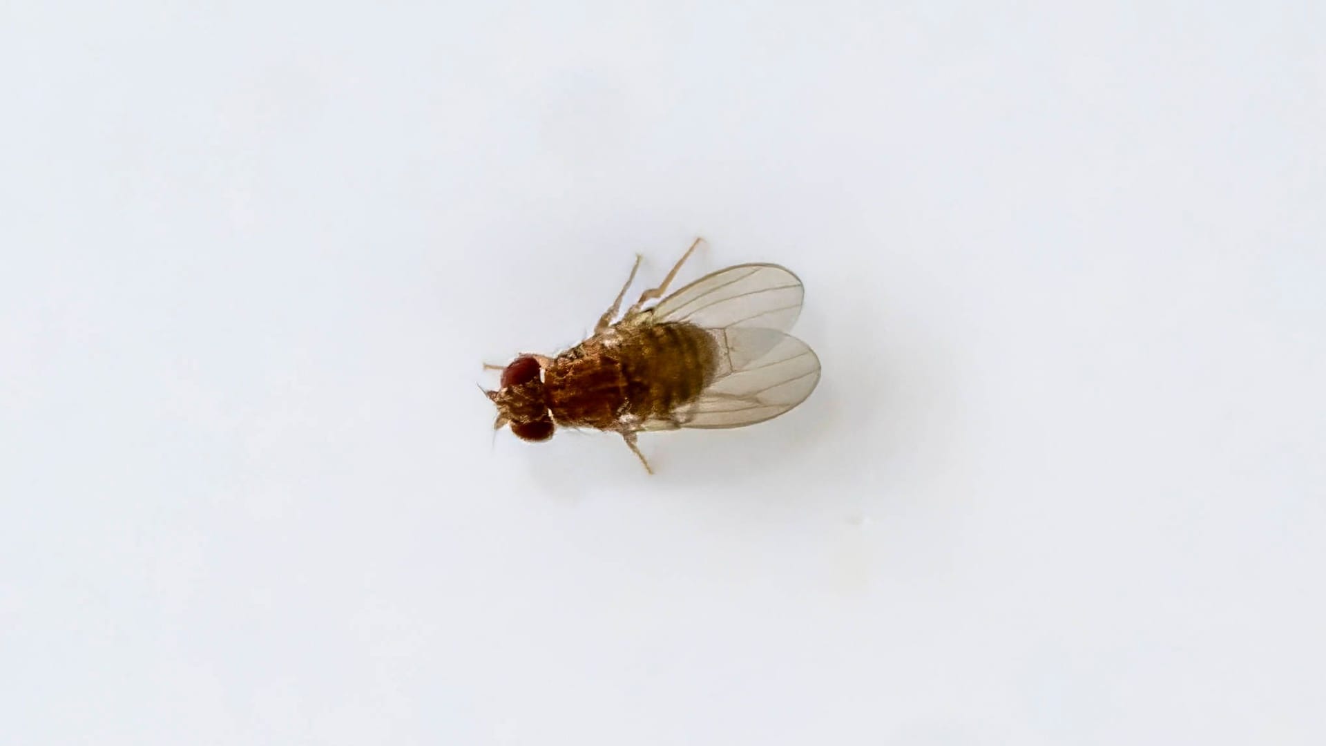 imago images 0763184773