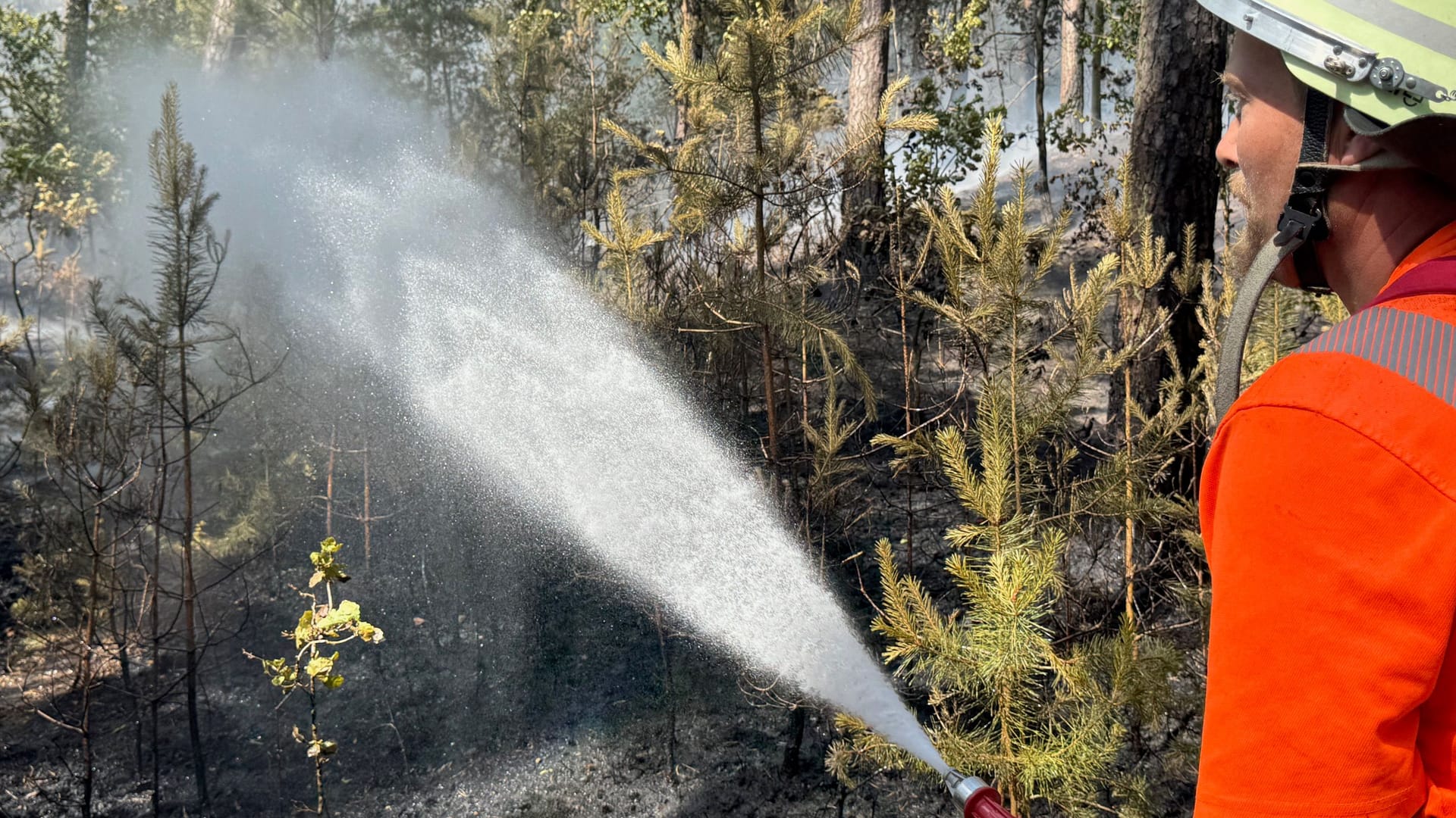 Waldbrand bei Wendelstein: Die Gefahr ist noch nicht vollständig gebannt. Waldbrand bei Wendelstein: Die Gefahr ist noch nicht vollständig gebannt.