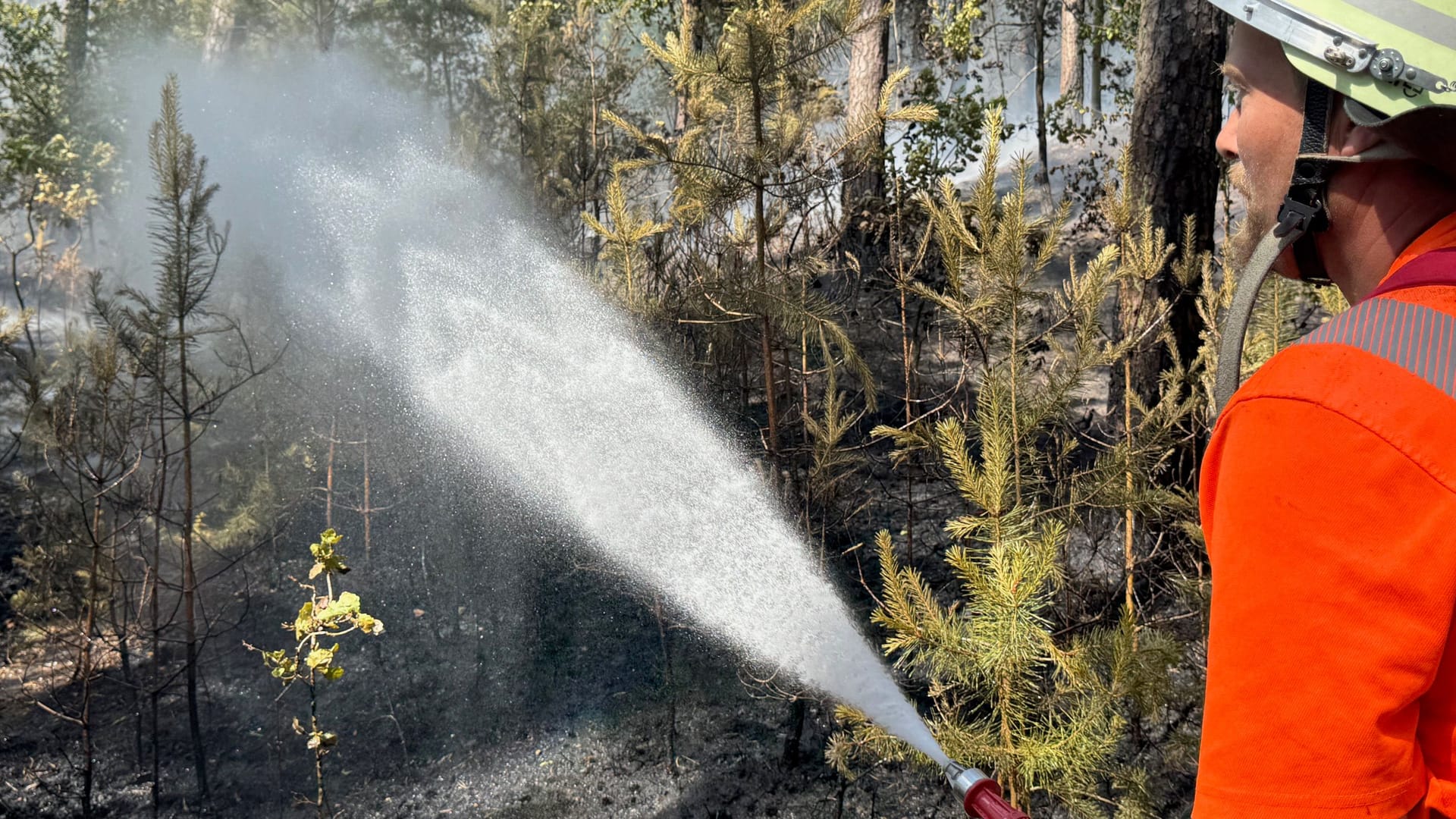 Waldbrand bei Wendelstein: Die Gefahr ist noch nicht vollständig gebannt. Waldbrand bei Wendelstein: Die Gefahr ist noch nicht vollständig gebannt.