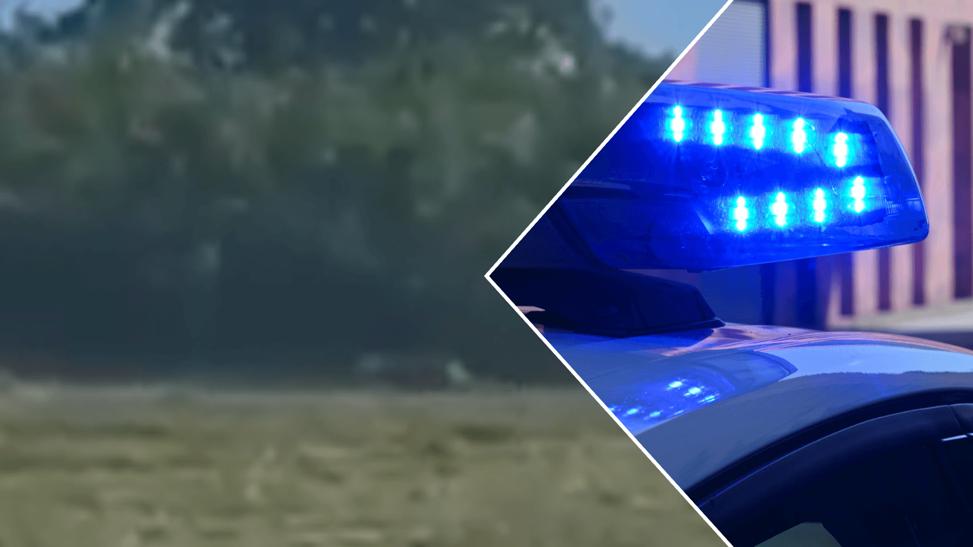 Ein Video in den sozialen Medien soll eine Großkatze in Sachsen-Anhalt zeigen. Die Polizei ist im Einsatz.