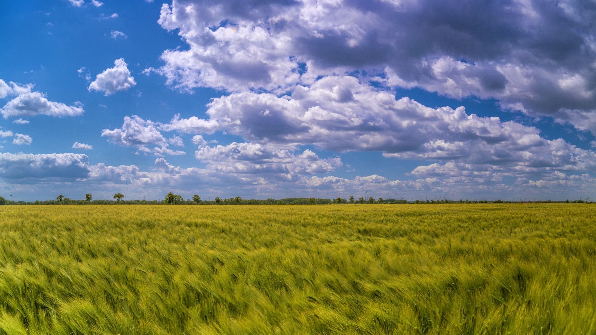 Blauer Himmel, Wolken und Sonne über einem Feld (Symbolbild): Zum Ende der Woche wird das Wetter in Braunschweig wieder angenehm warm. Blauer Himmel, Wolken und Sonne über einem Feld (Symbolbild): Zum Ende der Woche wird das Wetter in Braunschweig wieder angenehm warm.