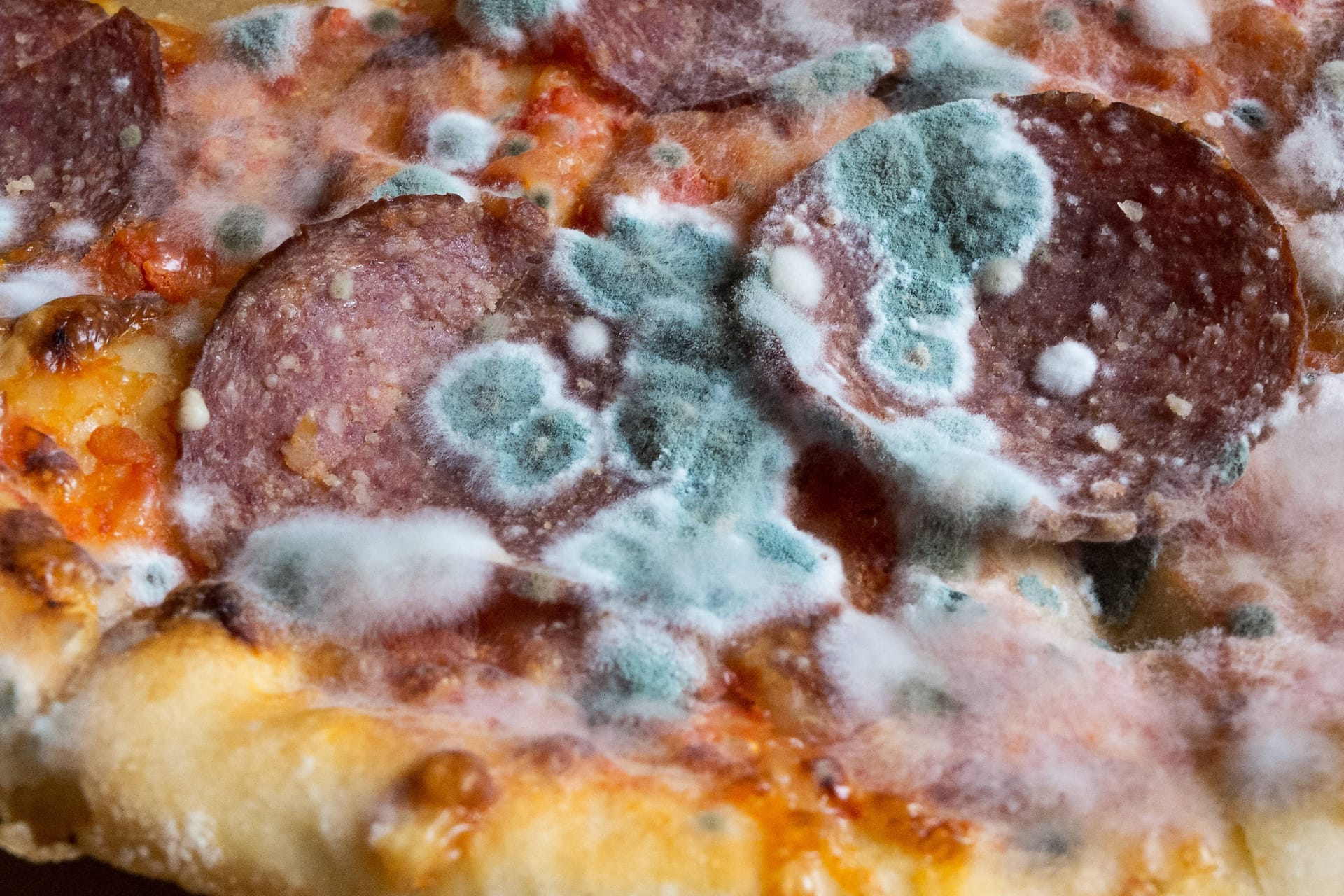 Schimmelbefall auf Salami-Pizza (Symbolbild): Kontrolleure fanden verdorbene Lebensmittel und unhygienische Zustände bei Bremer Lieferdiensten.