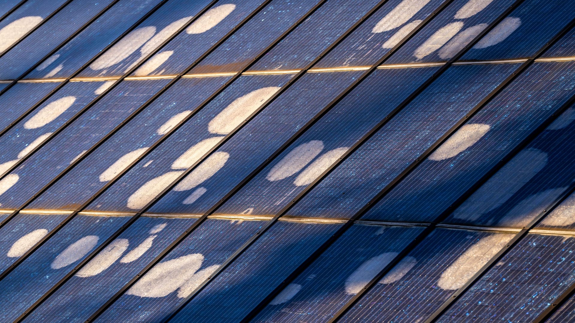 imago images 0791136920