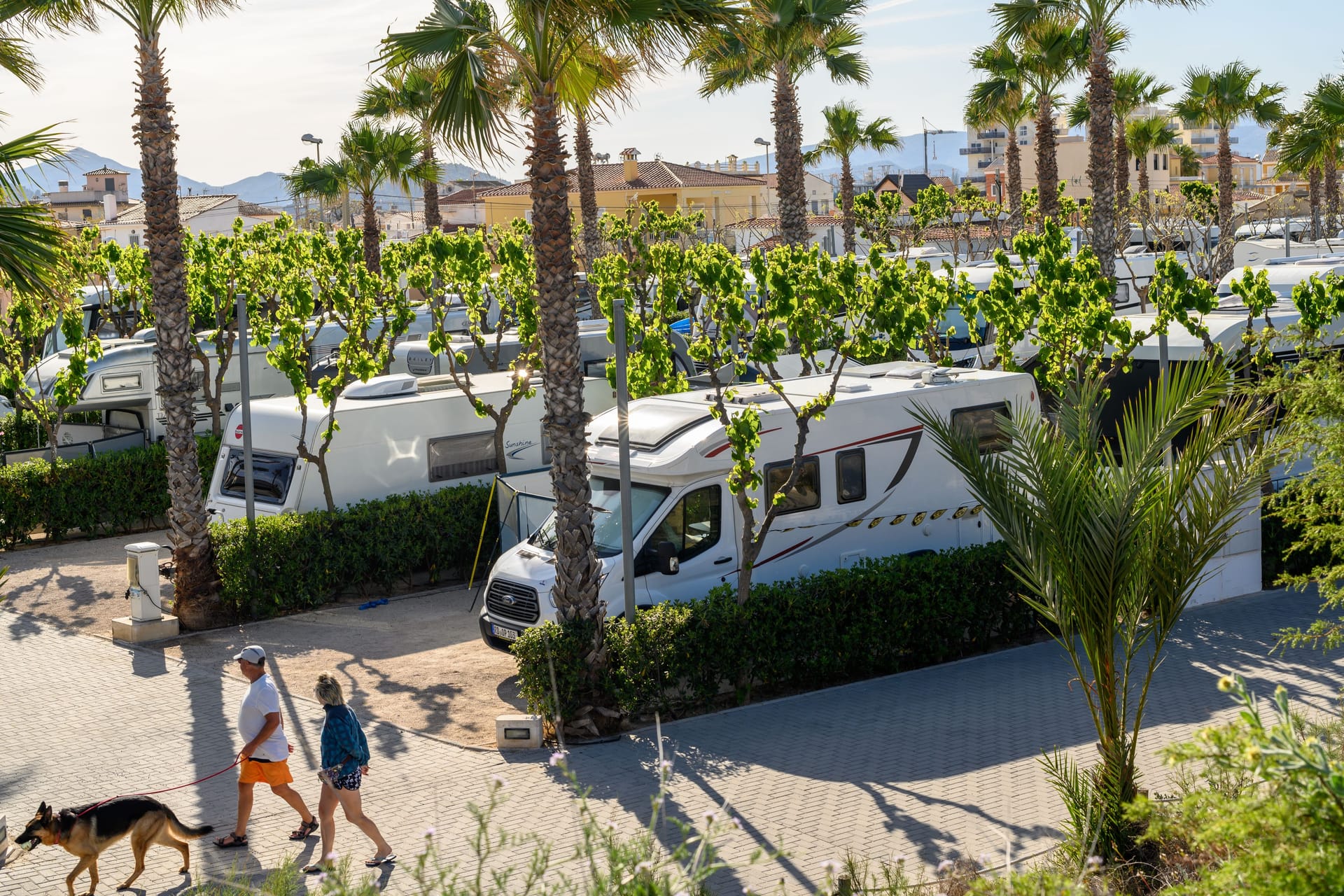 Vera Camping bei Valencia (Spanien): Überprüfen Sie vor dem Buchen, ob auf dem Campingplatz Leinenzwang für den Hund besteht.