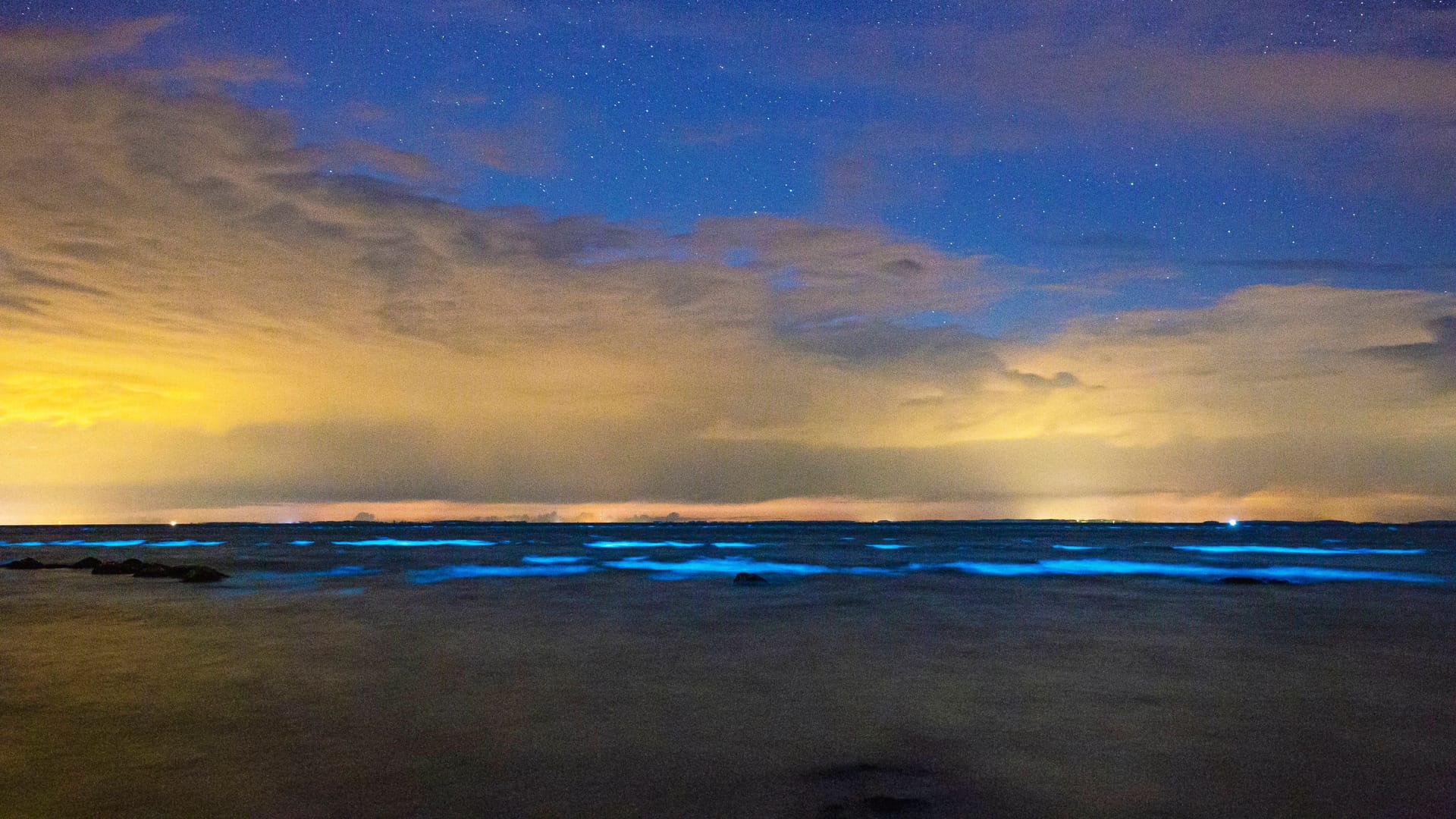Lubmin bei Greifswald: Bioluminiszierende Algen im Greifswalder Bodden.