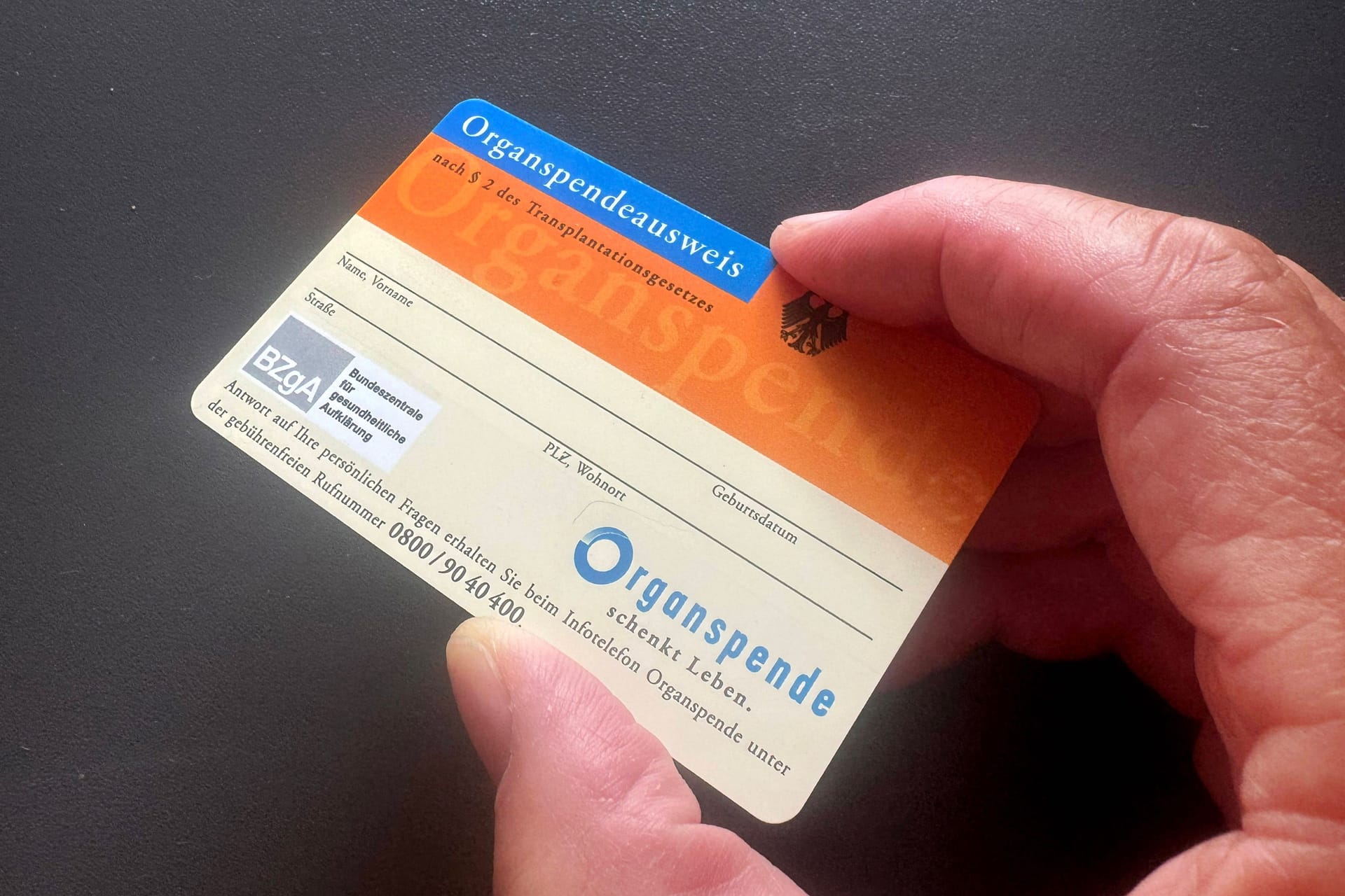 Eine Person hält einen Organspendeausweis in der Hand (Archivbild):