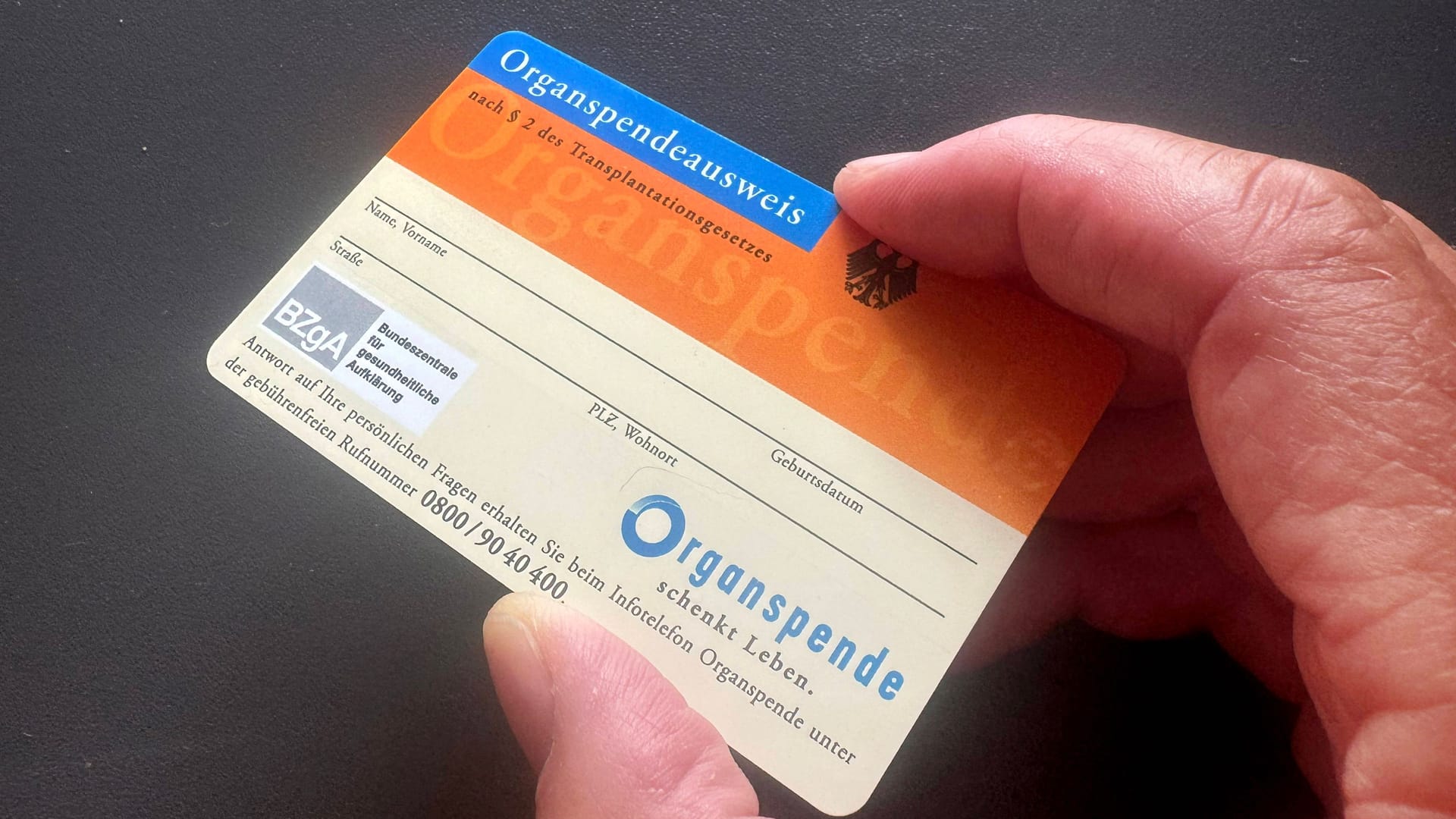 Eine Person hält einen Organspendeausweis in der Hand (Archivbild): Eine Person hält einen Organspendeausweis in der Hand (Archivbild):
