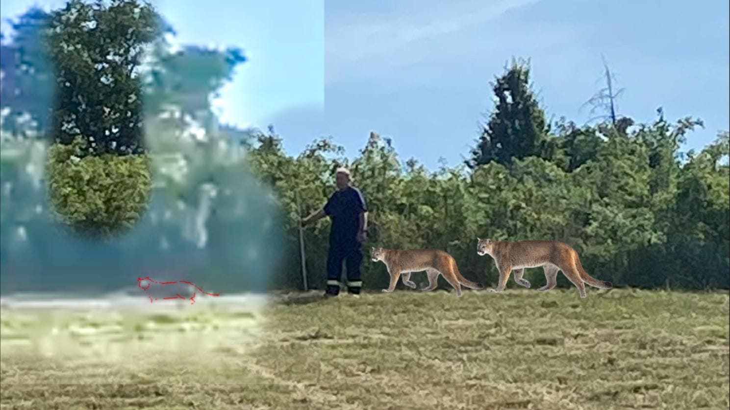 Die Sichtung bei Braunsbedra könnte ein klassischer Fall von optischer Täuschung sein.