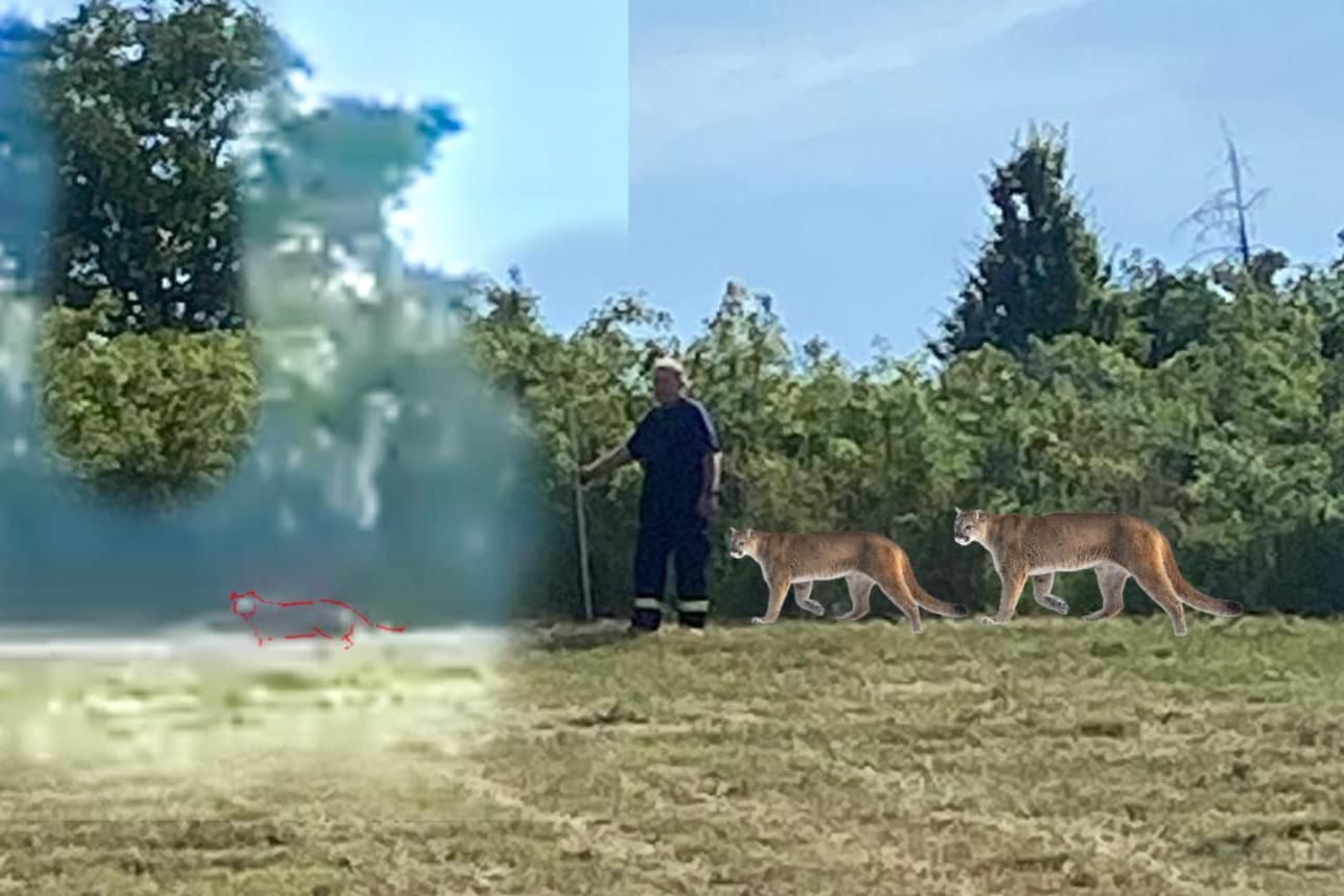 Die Sichtung bei Braunsbedra könnte ein klassischer Fall von optischer Täuschung sein.