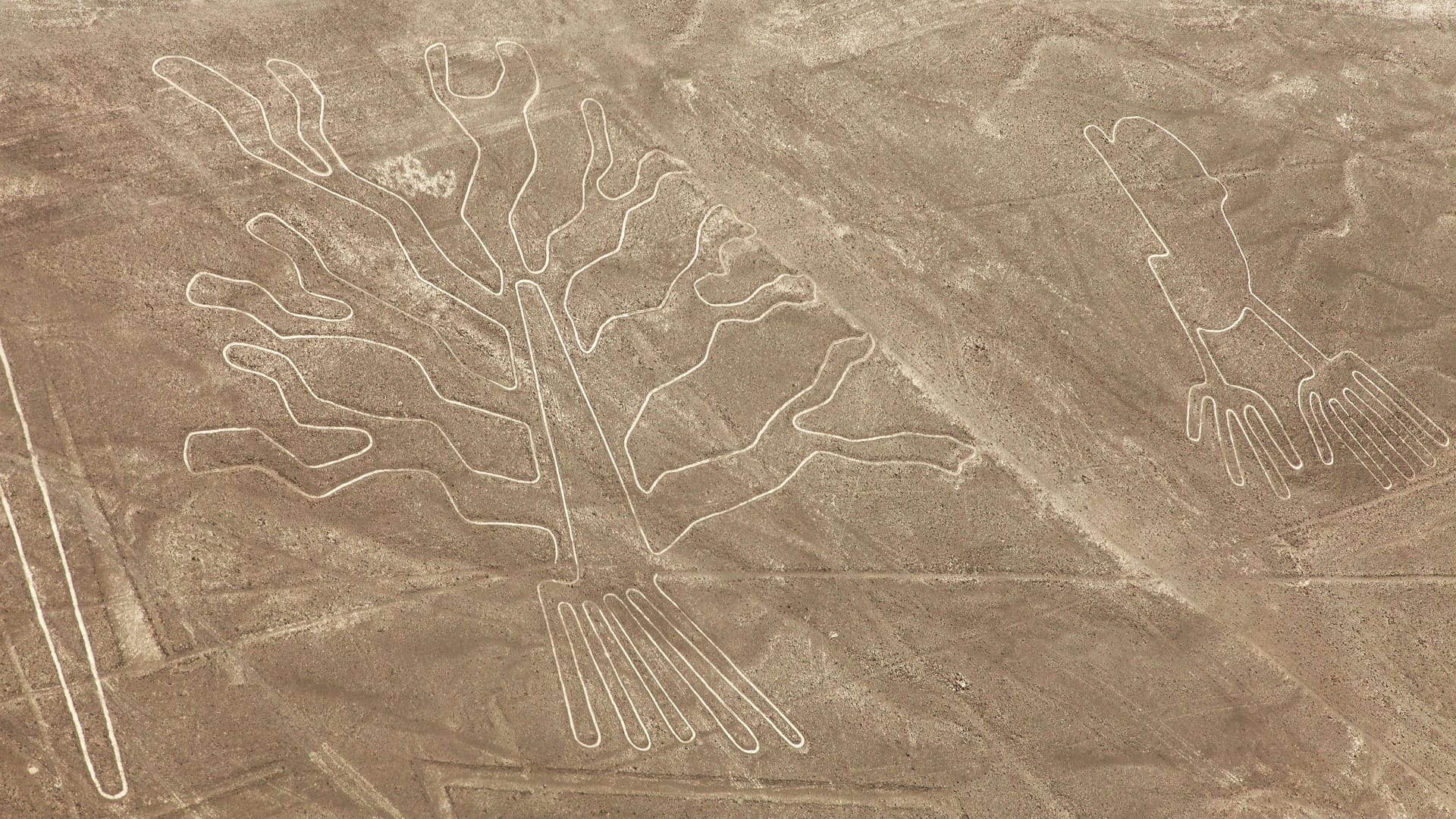 Rätsel in der Wüste: Die berühmten Nazca-Linien liegen direkt an der Panamericana – bis heute geben die riesigen Scharrbilder Forschern viele Fragen auf.