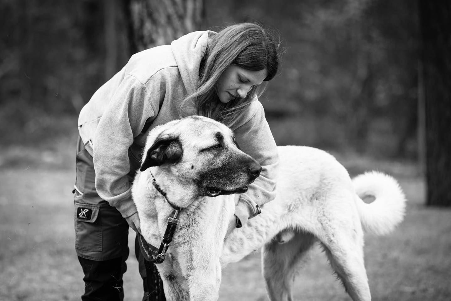 Mit einem emotionalen Appell meldet sich das Social-Media-Team vom Tierheim Nürnberg zu Wort. Mit einem emotionalen Appell meldet sich das Social-Media-Team vom Tierheim Nürnberg zu Wort.