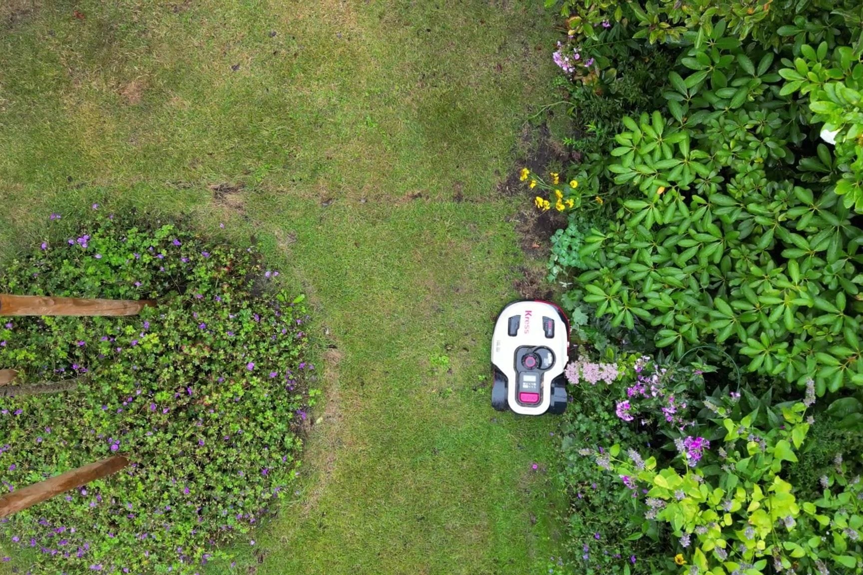 Ein Mähroboter fährt durch einen Garten