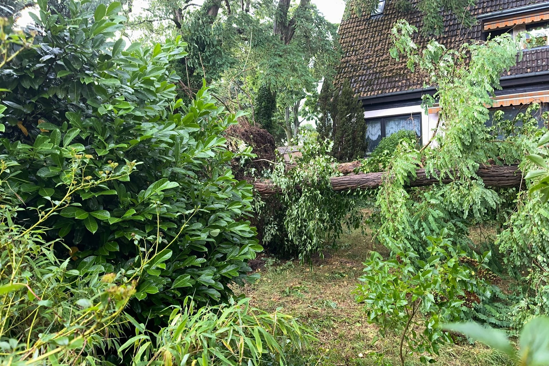 Gewitter in Berlin und Brandenburg