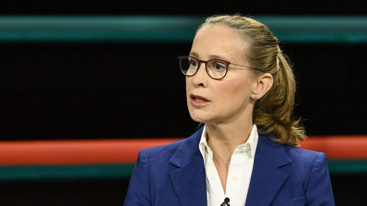 Frauke Brosius-Gersdorf: Wieso war die Richter-Kandidatin umstritten?