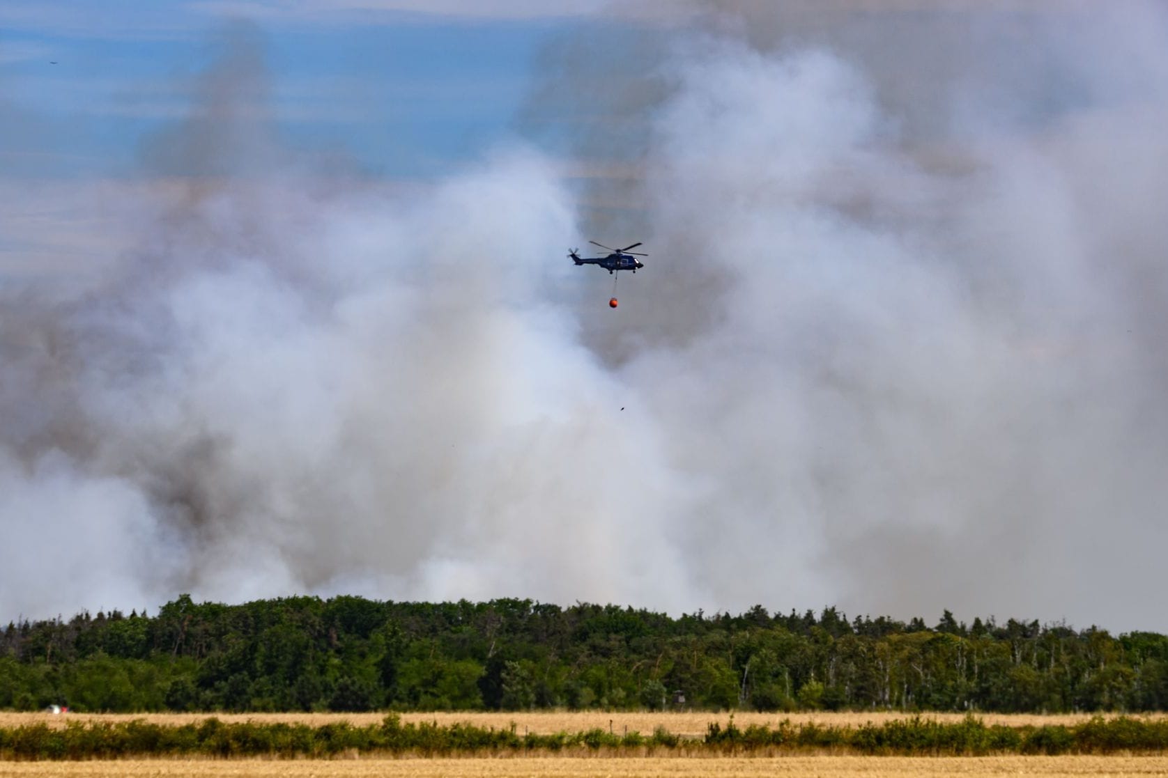Waldbrand in der Gohrischheide