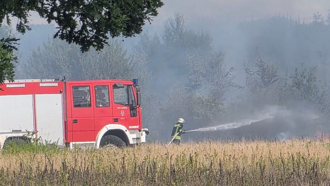 Das Feuer breitete sich rasant aus: Rund 60 Einsatzkräfte bekämpften den Brand .