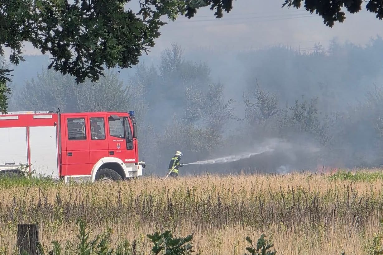 Das Feuer breitete sich rasant aus: Rund 60 Einsatzkräfte bekämpften den Brand .