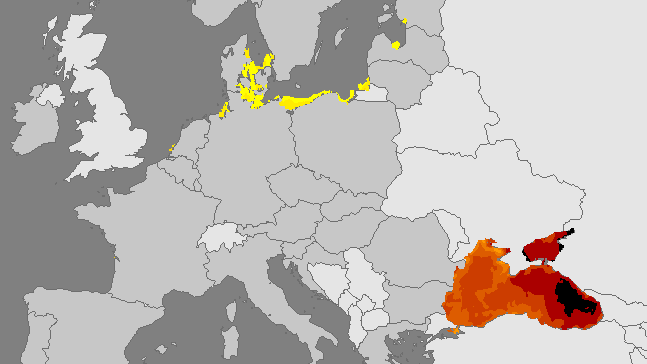 Geoportal des ECDC: An den Ostseeküsten zeigt die gelbe Farbe eine leichte Belastung mit Vibrionen an. Im Schwarzen Meer wird derweil schon eine sehr hohe Konzentration gemessen.