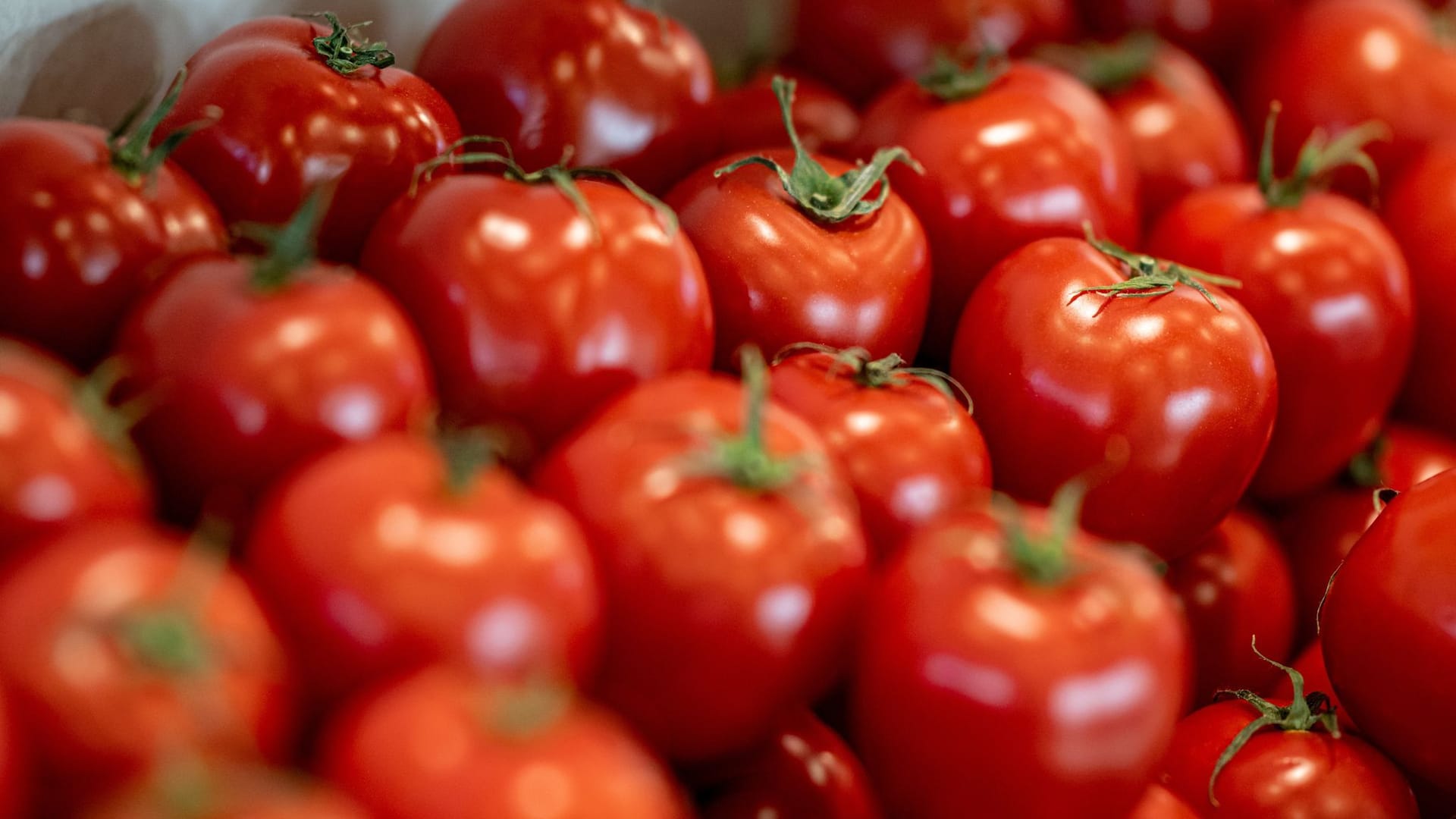 Messe - Fruit Logistica Messe - Fruit Logistica